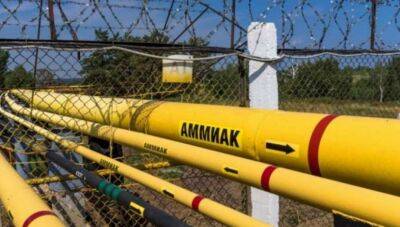 В ООН виступили із заявою про запуск аміакопроводу в Одесі - lenta.ua - США - Україна - Росія - місто Одеса