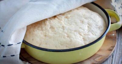 Быстрое дрожжевое тесто для жареных пирожков: проверенный рецепт с секретом - focus.ua - Украина
