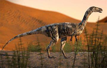 Ученые выяснили, что было бы, если бы динозавры продолжали жить на Земле - charter97.org - Белоруссия