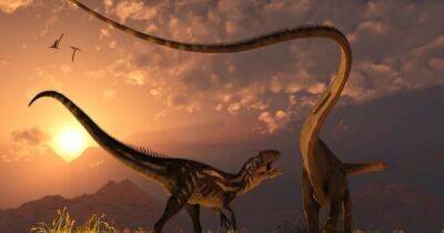 Огромные динозавры могли размахивать хвостами со скоростью звука: ученые выяснили, так ли это - focus.ua - Украина
