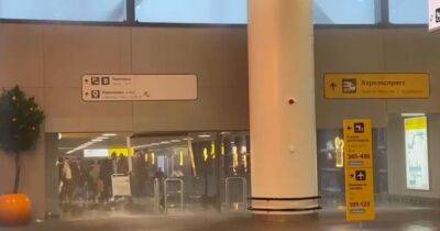 В аэропорту "Шереметьево" в Москве по вине персонала начался потоп, – СМИ (видео) - focus.ua - Москва - Россия - Украина - Шереметьево