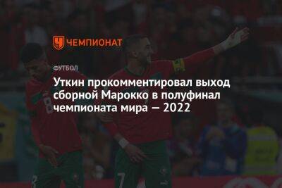 Василий Уткин - Хаким Зиеш - Уткин прокомментировал выход сборной Марокко в полуфинал чемпионата мира — 2022 - championat.com - Россия - Португалия - Катар - Марокко