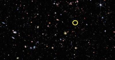Джеймс Уэбб - Вселенная - Теперь уже официально: телескоп Уэбб нашел самую далекую галактику во Вселенной - focus.ua - Украина - Англия