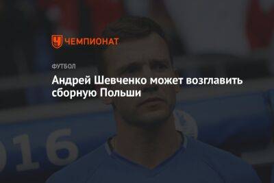 Андрей Шевченко - Андрей Шевченко может возглавить сборную Польши - championat.com - Украина - Польша - Катар