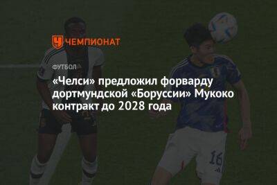 Николо Скир - «Челси» предложил форварду дортмундской «Боруссии» Мукоко контракт до 2028 года - championat.com - Германия - Катар