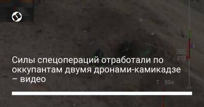 Силы спецопераций отработали по оккупантам двумя дронами-камикадзе – видео - liga.net - Украина