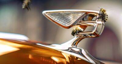 Не только автомобили: Bentley наладили производство меда (фото) - focus.ua - Украина