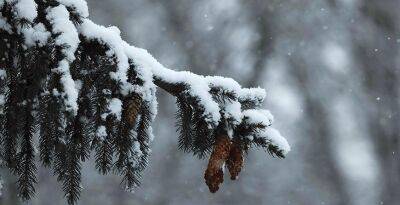 Небольшой снег и до -9°С будет в Беларуси 14 декабря - grodnonews.by - Белоруссия - Экология