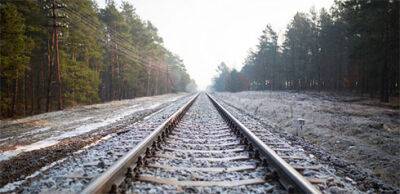 Укрзалізниця вперше купуватиме рейки у французької Saarstahl. Контракт – на 1,5 млрд грн - bin.ua - Украина - Франція - місто Маріуполь