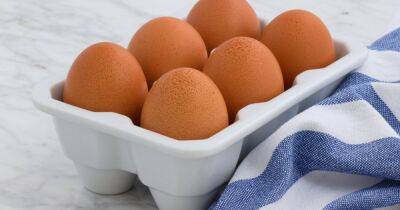 Как определить свежесть куриных яиц: 4 простых способа - focus.ua - Украина