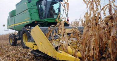 Украина не смогла собрать треть урожая кукурузы из-за отключений света и дождей, — Bloomberg - focus.ua - Россия - США - Украина