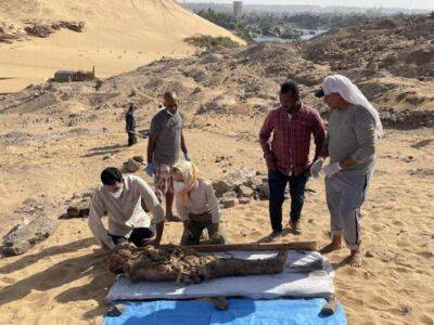 У Єгипті виявлено гробницю з грецькою мумією (Фото) - lenta.ua - Украина - Єгипет