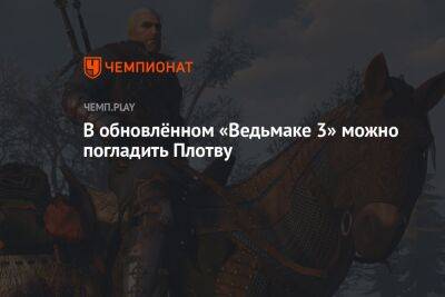 В обновлённом «Ведьмаке 3» можно погладить лошадь Геральта — Плотву - championat.com - Россия