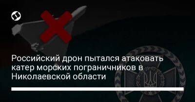 Российский дрон пытался атаковать катер морских пограничников в Николаевской области - liga.net - Россия - Украина - Николаевская обл.