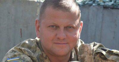 Валерий Залужный - Залужный рассказал об увольнении десяти генералов: еще один — покончил с собой - dsnews.ua - Россия - Украина