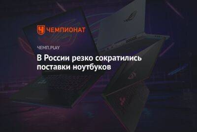 В России резко сократились поставки ноутбуков - championat.com - Россия