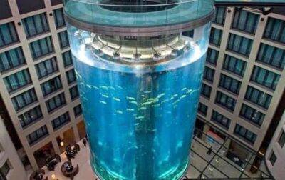 В Берлине лопнул аквариум с миллионом литров воды - korrespondent.net - Украина - Берлин - Сан-Франциско