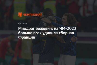 Миодраг Божович - Миодраг Божович: на ЧМ-2022 больше всех удивила сборная Франции - championat.com - Франция - Хорватия - Аргентина - Катар - Марокко