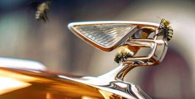 Bentley наладили производство меда — кому достанутся эксклюзивные баночки - obzor.lt