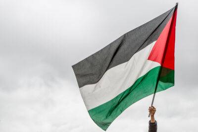 Гали Бахарав-Миар - Невзирая на законы и БАГАЦ: трое арестованы в Хайфе за палестинский флаг - news.israelinfo.co.il - Палестина - Хайфы
