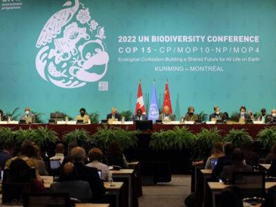 Страны приняли историческое соглашение о биоразнообразии: треть планеты станет охраняемой зоной - unn.com.ua - Китай - США - Украина - Киев - Франция