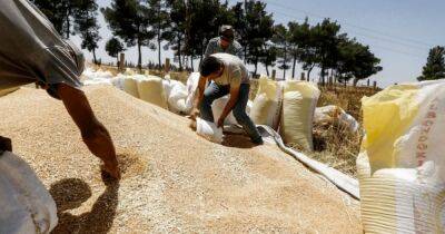 Сирия почти в 20 раз увеличила вывоз пшеницы из Крыма: СМИ узнали, как крадут украинское зерно - focus.ua - Москва - Россия - США - Сирия - Дамаск - Украина - Крым - Латакия