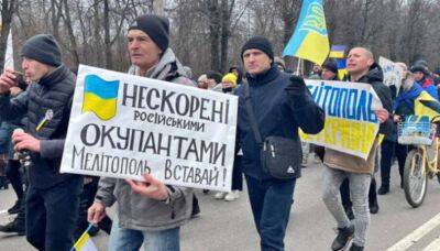 Окупанти у Мелітополі повторюють херсонський сценарій - lenta.ua - Украина - місто Херсон - місто Мелітополь