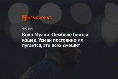 Усман Дембеле - Коло Муани: Дембеле боится кошек. Усман постоянно их пугается, это всех смешит - championat.com - Франция - Польша - Тунис - Катар