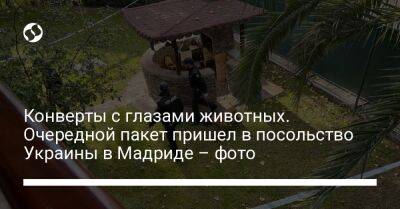 Олег Николенко - Конверты с глазами животных. Очередной пакет пришел в посольство Украины в Мадриде – фото - liga.net - США - Украина - Италия - Венгрия - Польша - Испания - Хорватия - Голландия - Мадрид