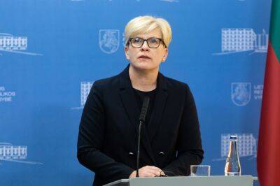 Ингрида Шимоните - Премьер Литвы: государство не будет регулировать цены на продукты питания - obzor.lt - Россия - Украина - Литва - Премьер