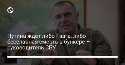 Владимир Путин - Наталья Мосейчук - Василий Малюк - Путина ждет либо Гаага, либо бесславная смерть в бункере – руководитель СБУ - liga.net - Россия - Украина - респ. Алтай - Гаага