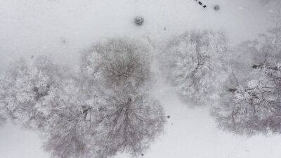 Британские учёные: снег улучшает самооценку - ru.euronews.com - Англия