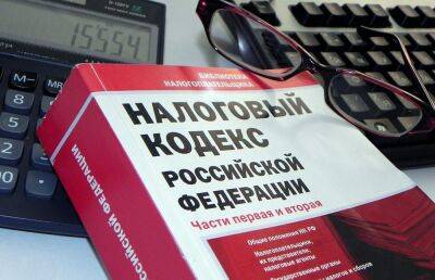 Пресечь производство подложных деклараций и счетов-фактур намерены в России - afanasy.biz - Россия