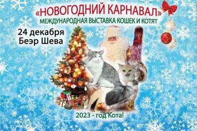Дед Мороз и Кошки! Новогодняя выставка кошек c подарками от Деда Мороза - news.israelinfo.co.il - Израиль