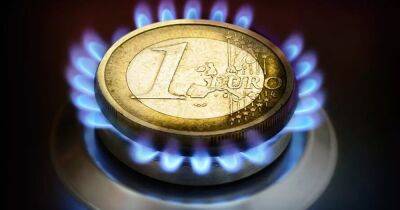 Владимир Зеленский - ЕС официально утвердил максимальную цену газа - dsnews.ua - Россия - Украина