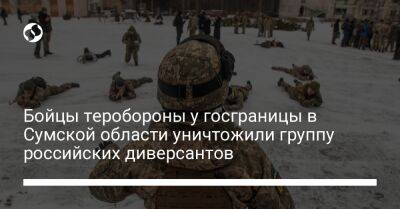 Дмитрий Живицкий - Бойцы теробороны у госграницы в Сумской области уничтожили группу российских диверсантов - liga.net - Украина - Белоруссия - Сумская обл.