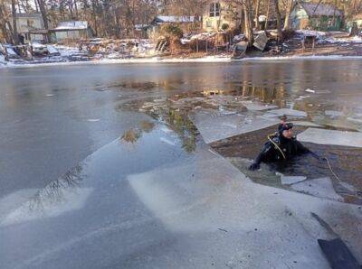 Дети провалились под воду в Черкассах: "Гуляли вместе с собакой и вышли на хрупкий лед" - politeka.net - Россия - Украина - Черкассы