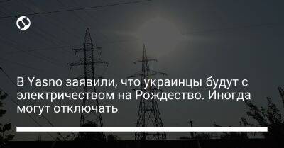 Сергей Коваленко - В Yasno заявили, что украинцы будут с электричеством на Рождество. Иногда могут отключать - liga.net - Украина