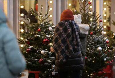 Четыре знака Зодиака ждут счастливые перемены в период зимних праздников: у кого осуществятся заветные мечты - politeka.net - Украина