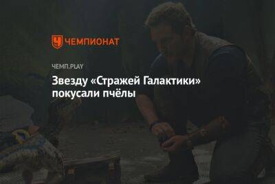 Крис Пратт - Звезду «Стражей Галактики» покусали пчёлы - championat.com - Техас