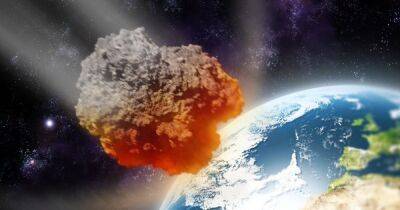 Подарок на Рождество. Сразу 3 огромных астероида летят к Земле: их размер впечатляет - focus.ua - Украина