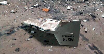 Юрий Игнат - ПВО сбила около 70 дронов из второй иранской партии, – Воздушные силы - dsnews.ua - Россия - Украина - Киев - Иран
