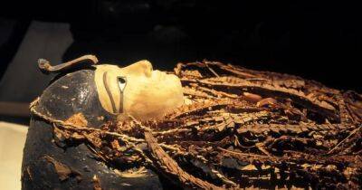 Взбивать крючком около 20 минут: как древние египтяне удаляли мозг в мумиях - focus.ua - Украина - Англия - Египет