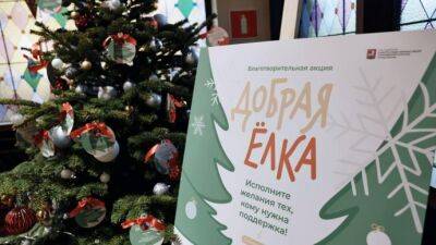 "Добрые елки" установлены на площадках Москвы - parkseason.ru - Москва - Новости
