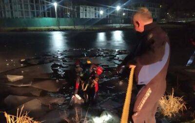 Во Львове трое мужчин провалились под лед: есть погибший - korrespondent.net - Украина - Львов