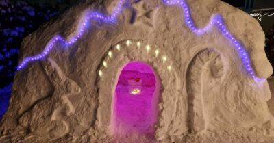 ФОТО. Мифический зверь, чайный домик и гигантский торт: Как Витис Ласис создает в собственном дворе невероятные скульптуры из снега и льда - rus.delfi.lv - Латвия