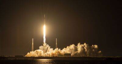 Илон Маск - SpaceX запустила первую партию уникальных спутников Starlink (фото, видео) - focus.ua - США - Украина - Киев - шт.Флорида