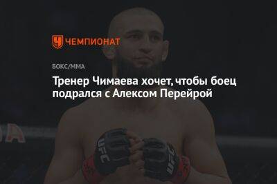 Кевин Холланд - Хамзат Чимаев - Алексей Перейрой - Тренер Чимаева хочет, чтобы боец подрался с Алексом Перейрой - championat.com - Бразилия - Швеция