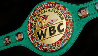 Маурисио Сулейман - WBC в 2023 году планирует запустить дивизион для трансгендеров - sportarena.com - Новая Зеландия