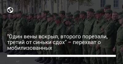 "Один вены вскрыл, второго порезали, третий от синьки сдох" – перехват о мобилизованных - liga.net - Россия - Украина - Новосибирск